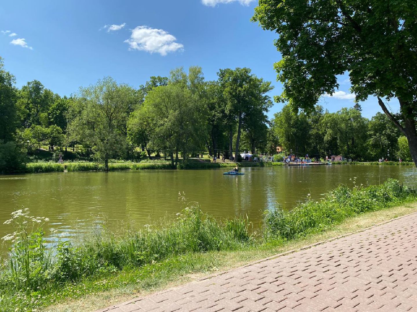 Чехов, День России, праздник, парк, катание, катамаран