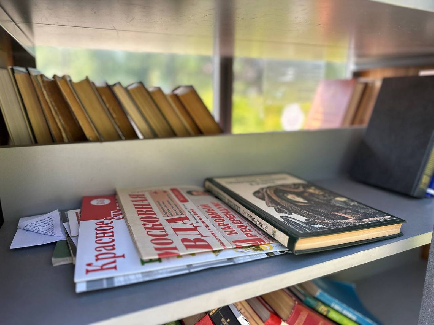 Реутов, День России, Фабричный пруд, праздник, мерорприятия