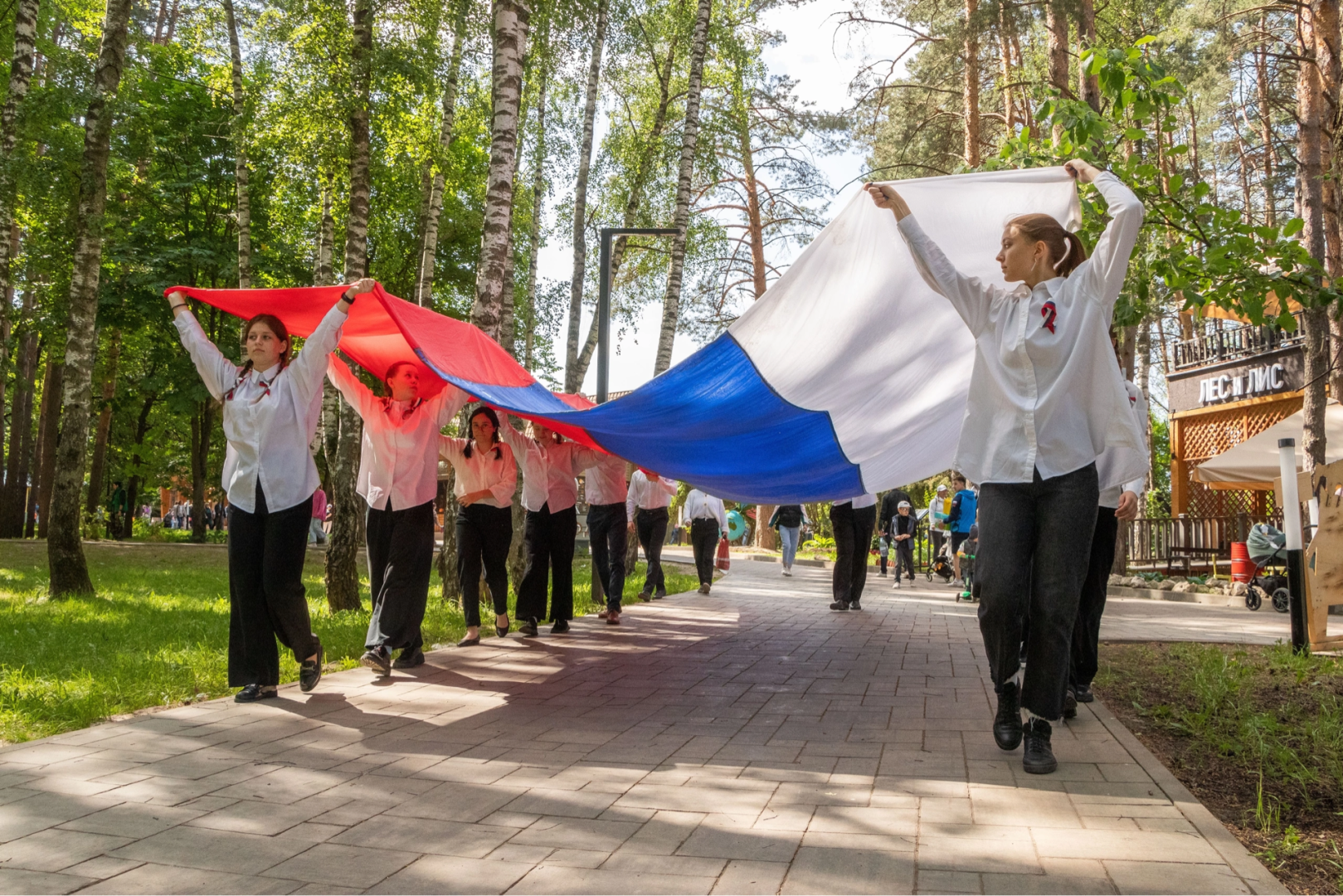 Домодедово, шествие с флагом, День России, флаг России