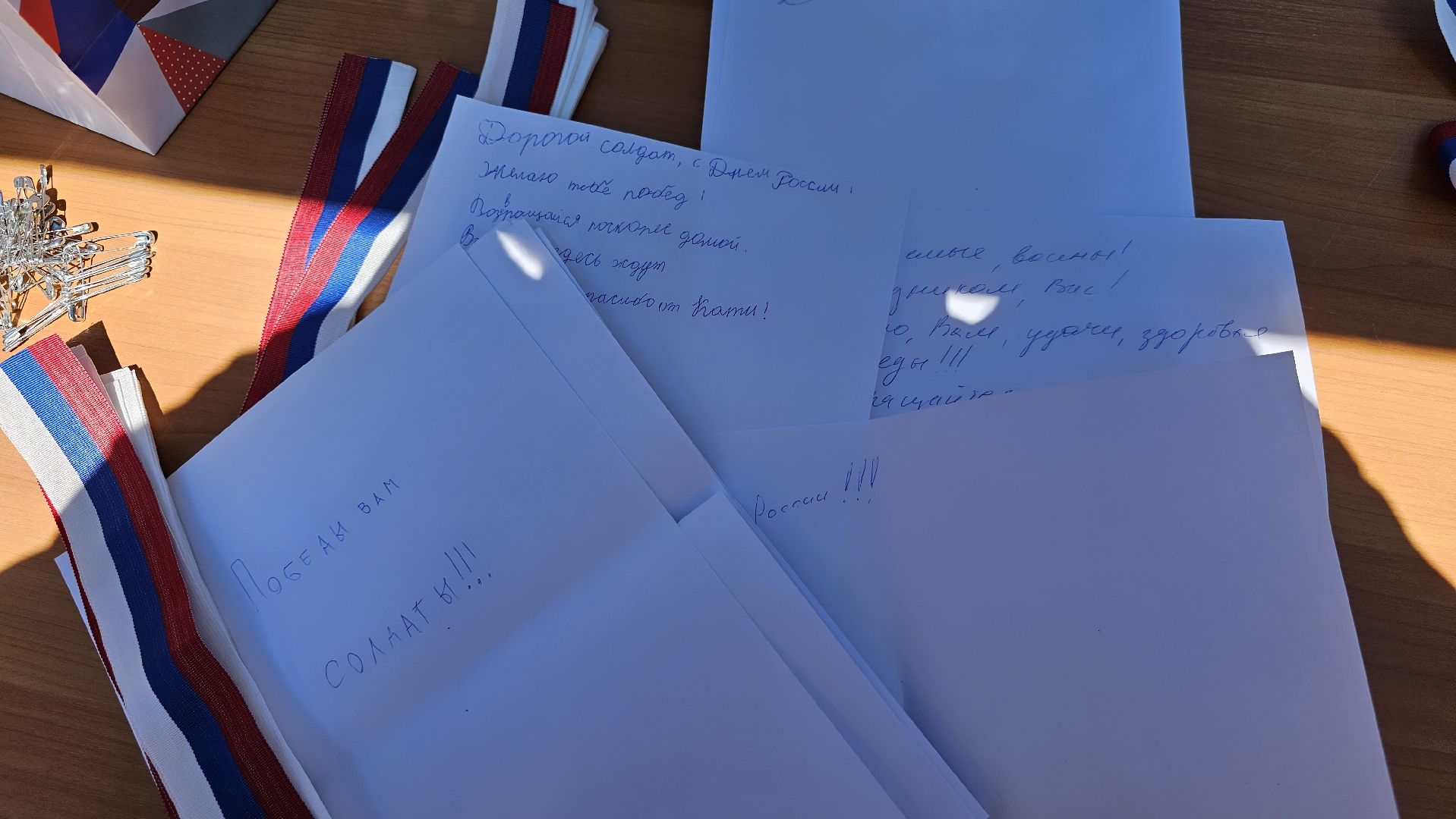 День России, праздник, Волонтеры Подмосковья, Котельники