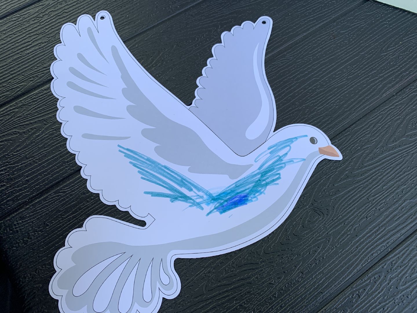 Балашиха, Подмосковье, мастер-классы, голубь мира, дети, парки