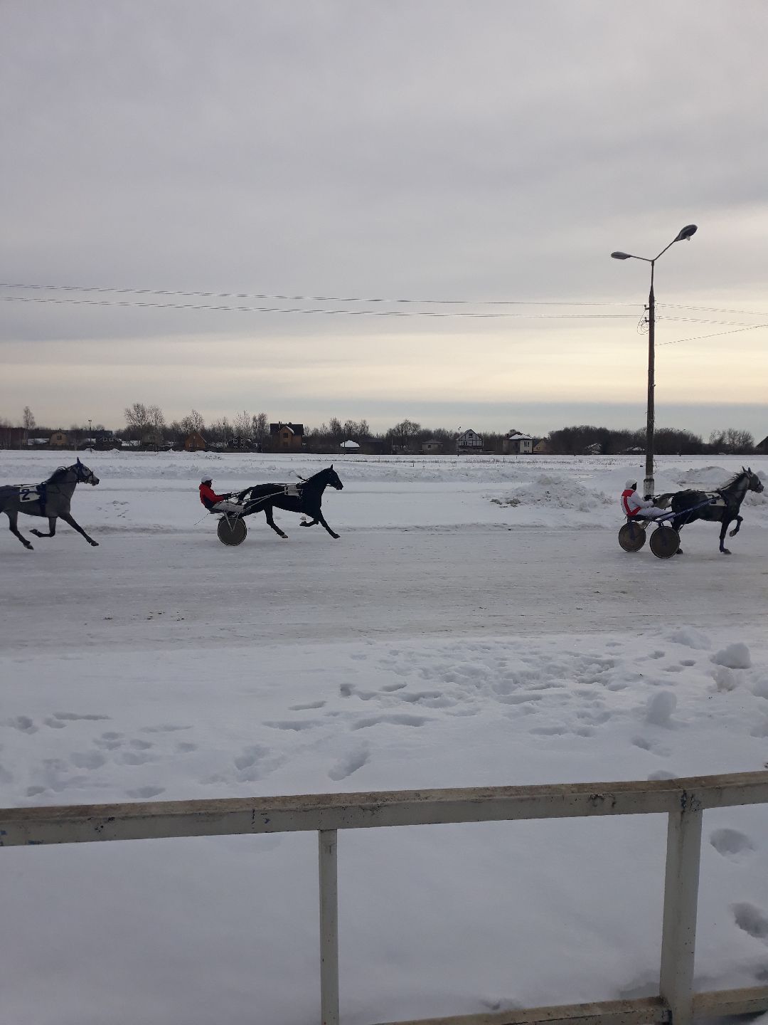 Раменское, конный спорт,