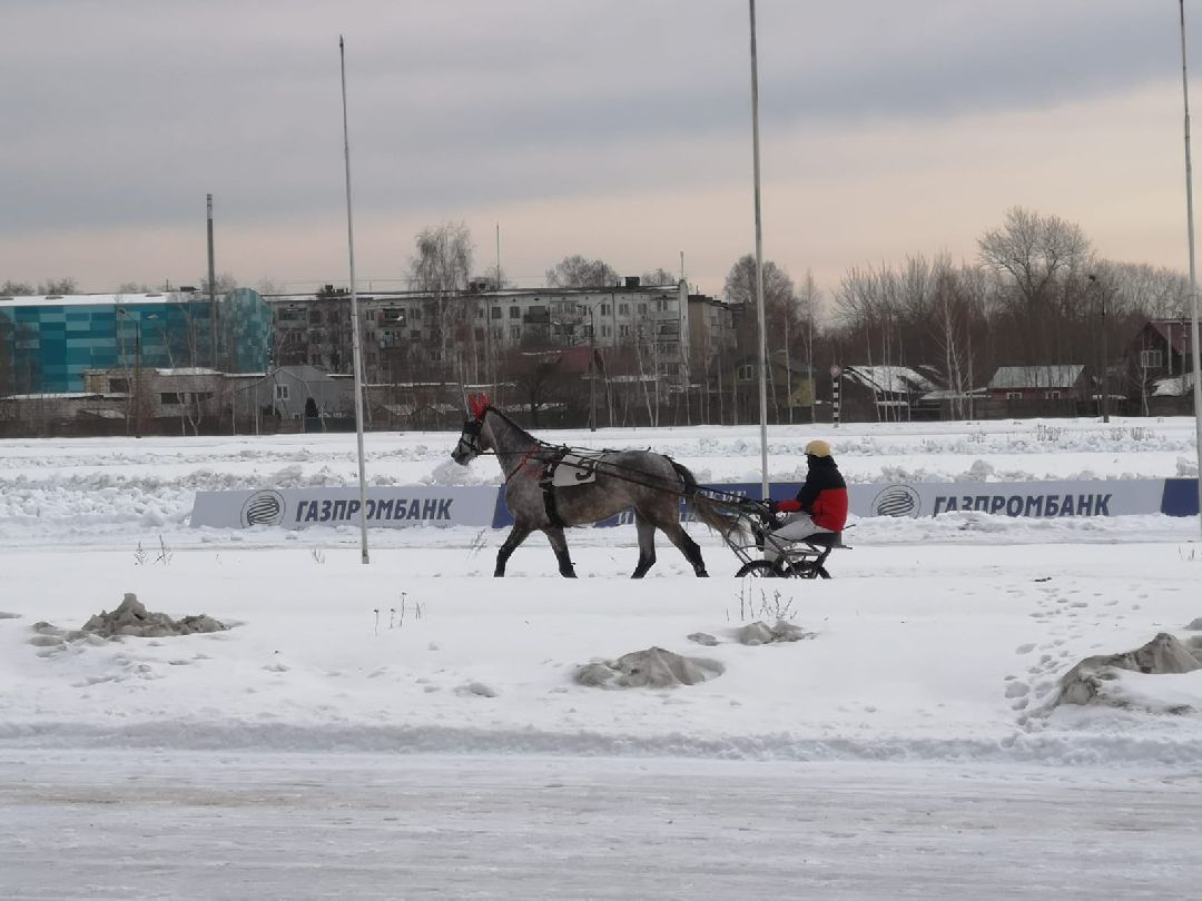 Раменское, конный спорт,