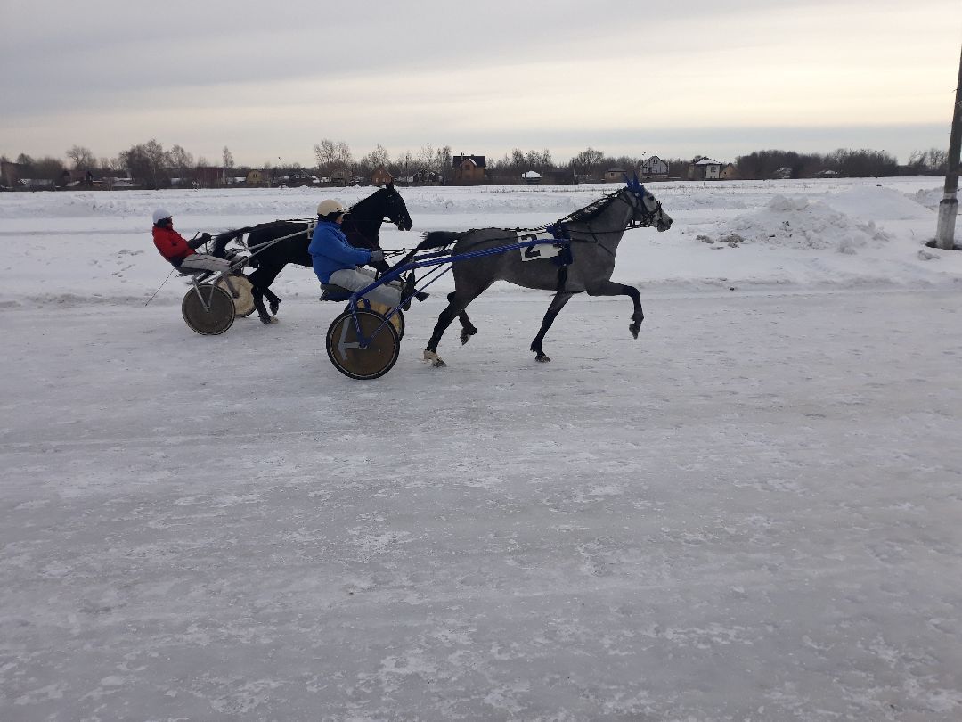 Раменское, конный спорт,