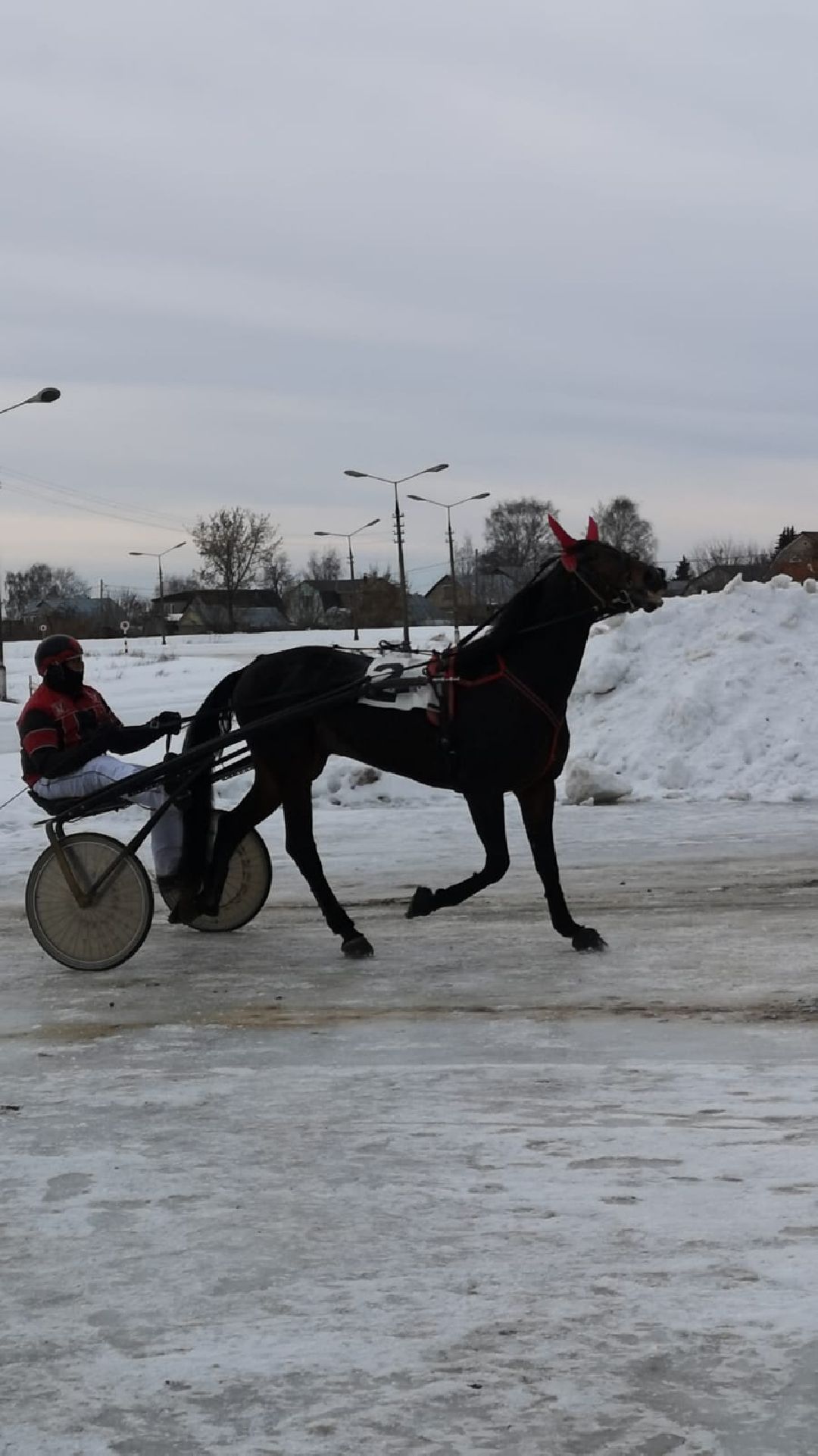 Раменское, конный спорт,