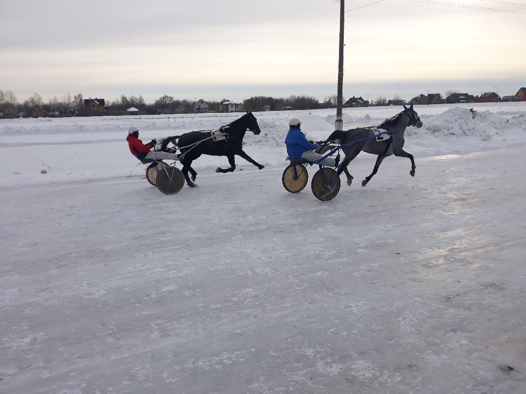 Раменское, конный спорт,