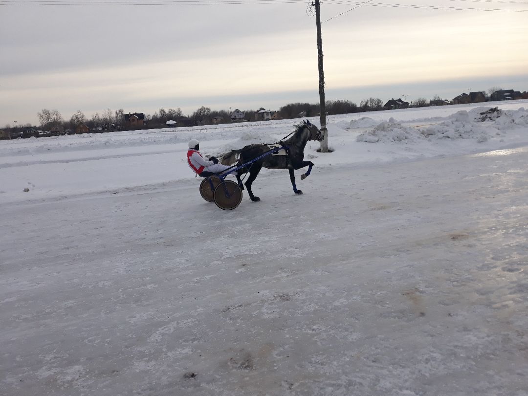 Раменское, конный спорт,