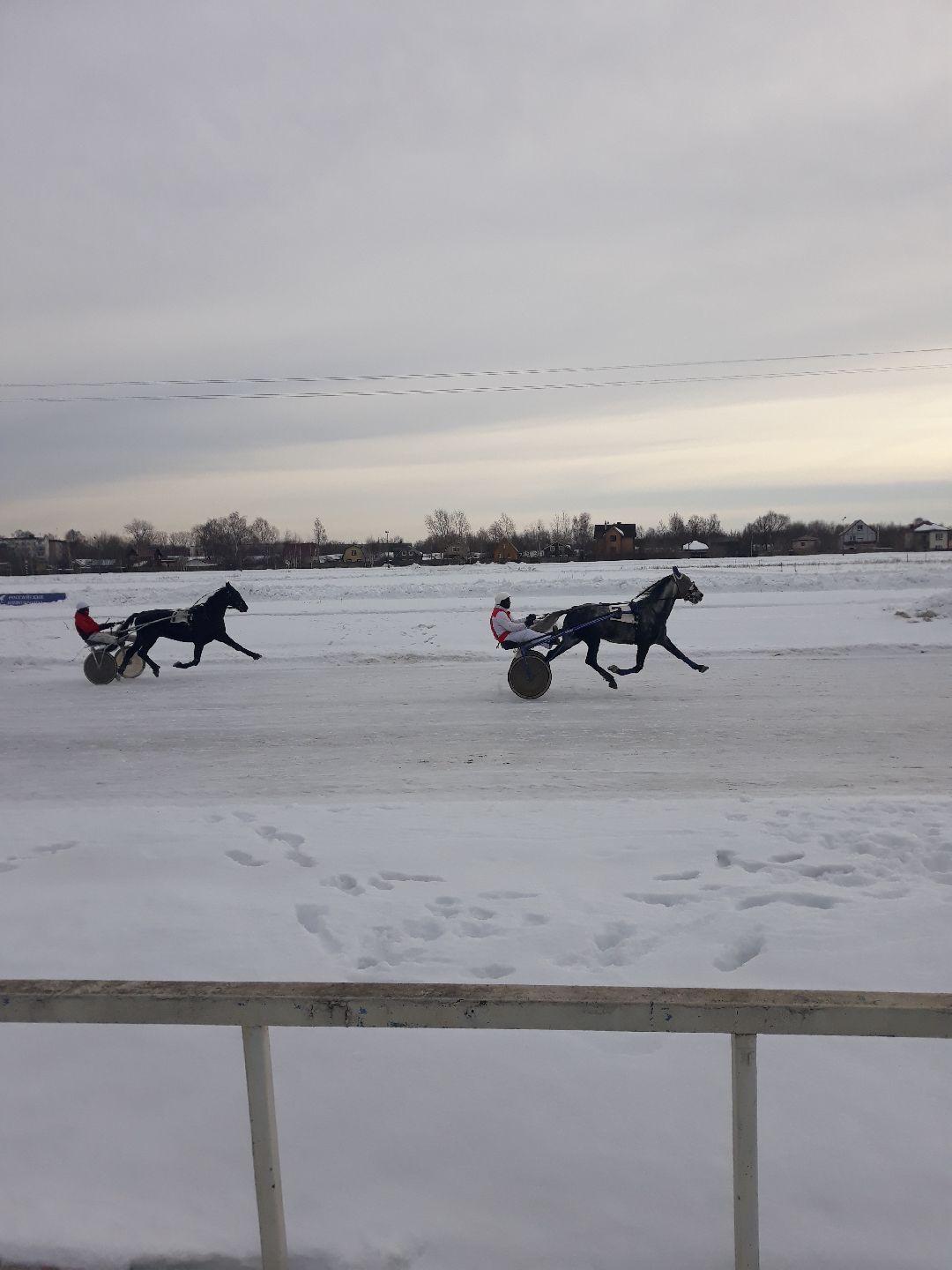 Раменское, конный спорт,