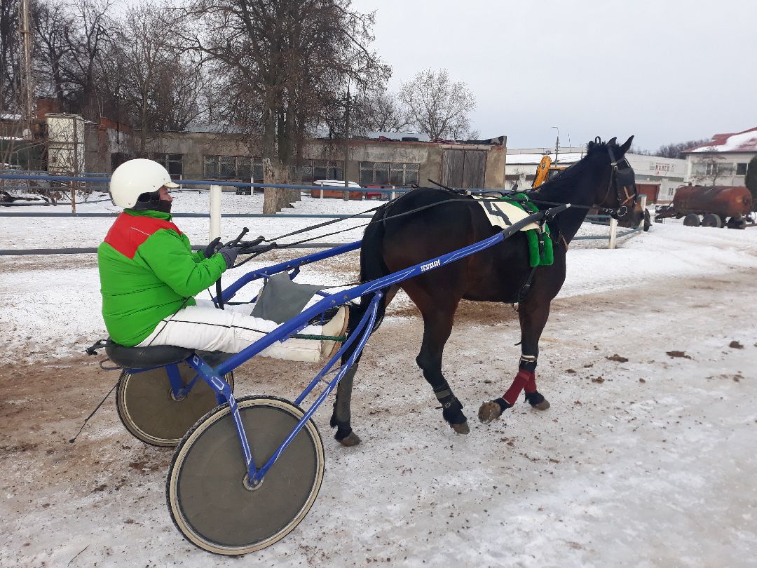 Раменское, конный спорт,