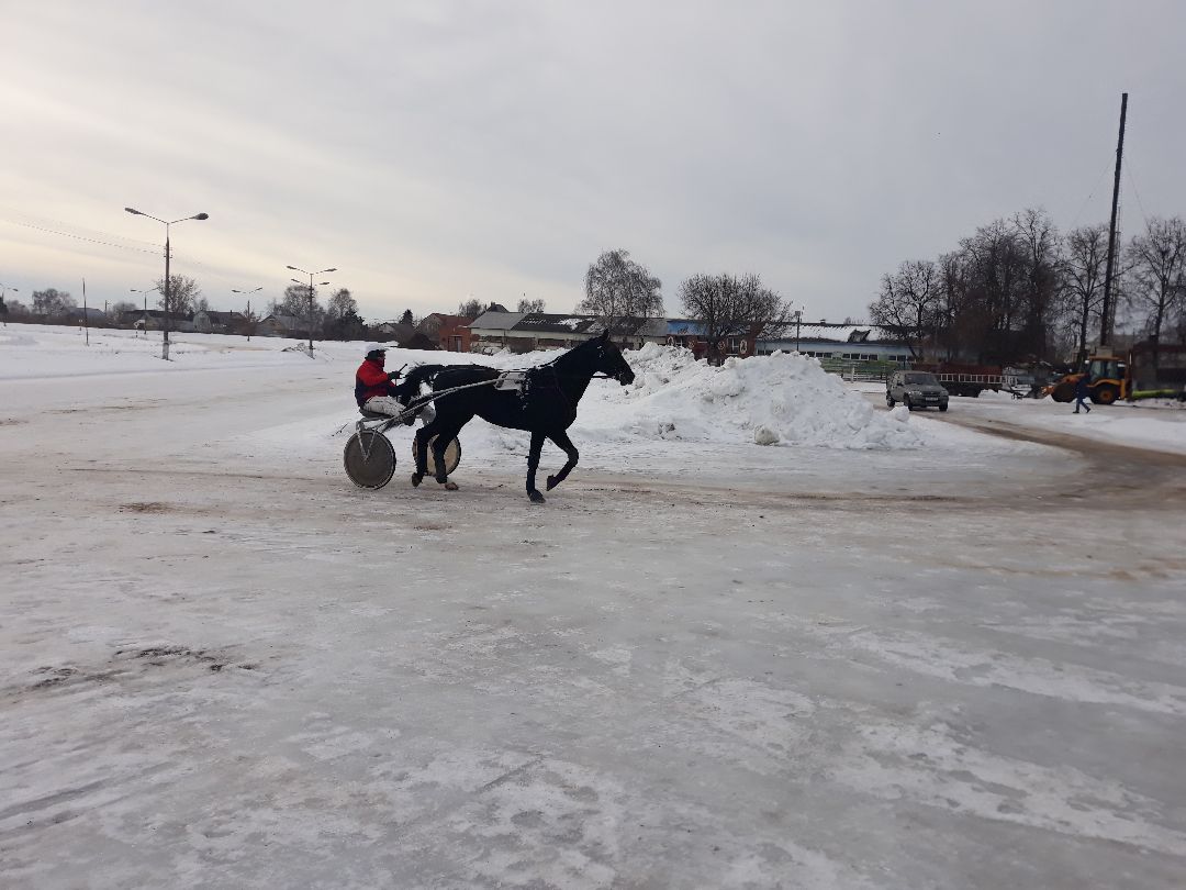 Раменское, конный спорт,