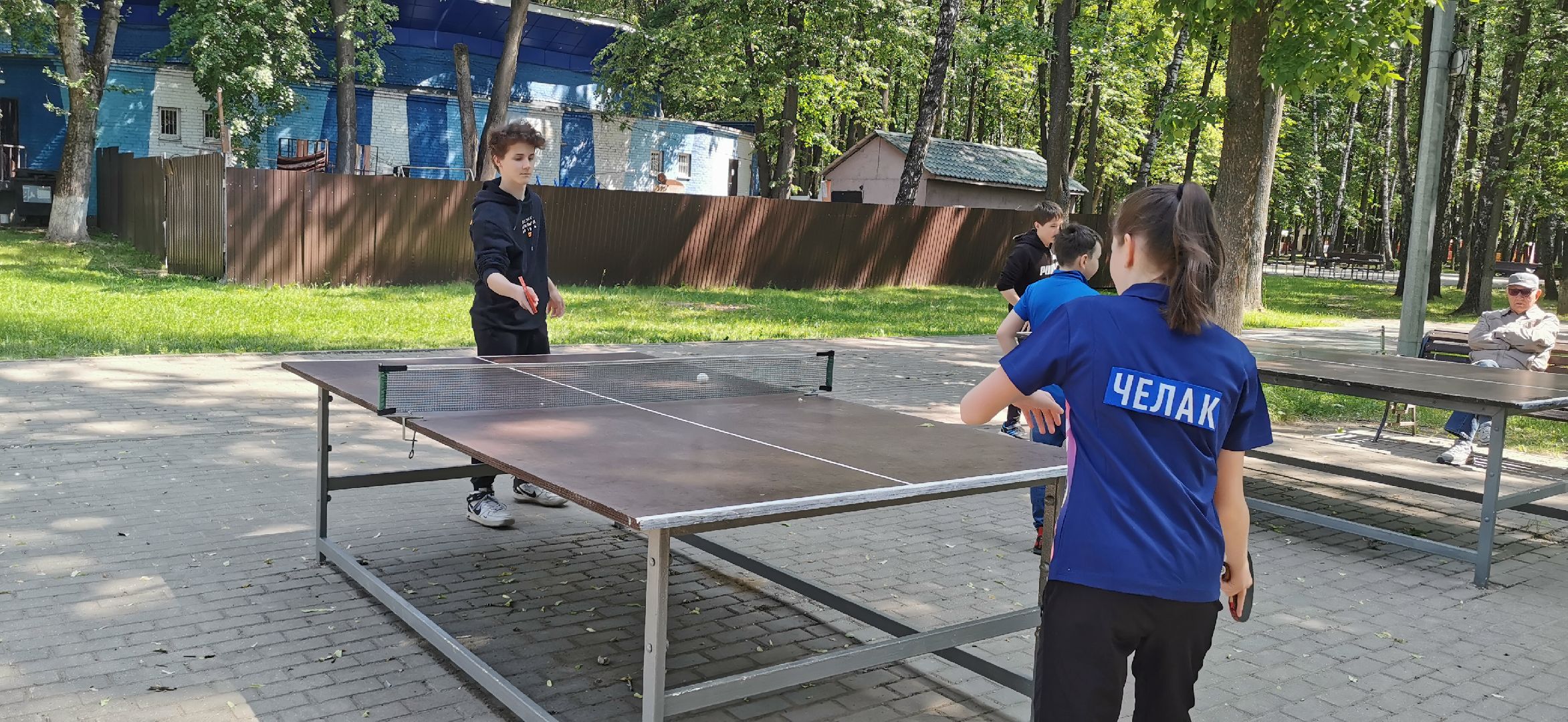 день россии, спорт, теннис,