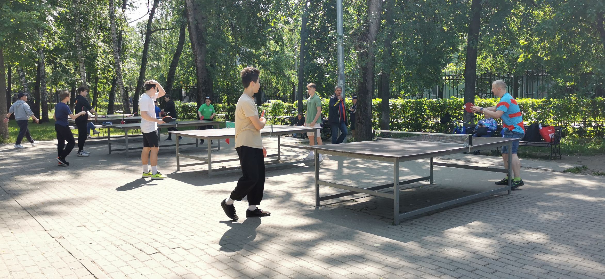 день россии, спорт, теннис,