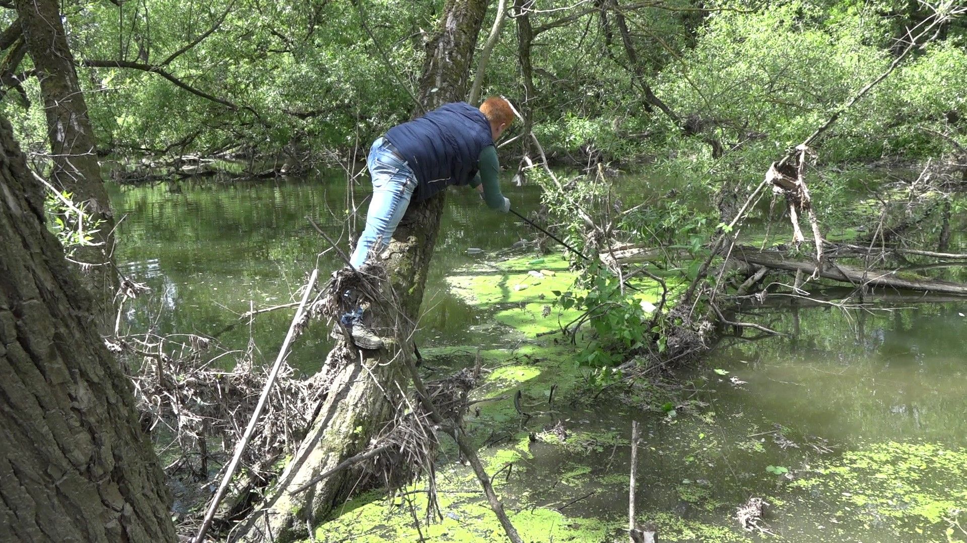 субботник на Рожайке, Домодедово