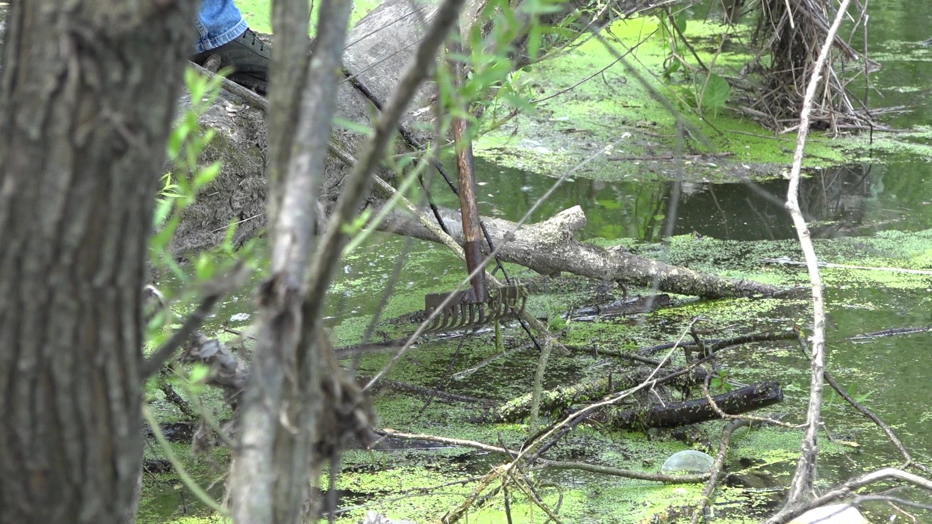 субботник на Рожайке, Домодедово