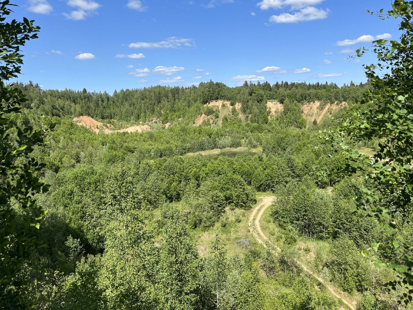 Шаховская, озера, купание