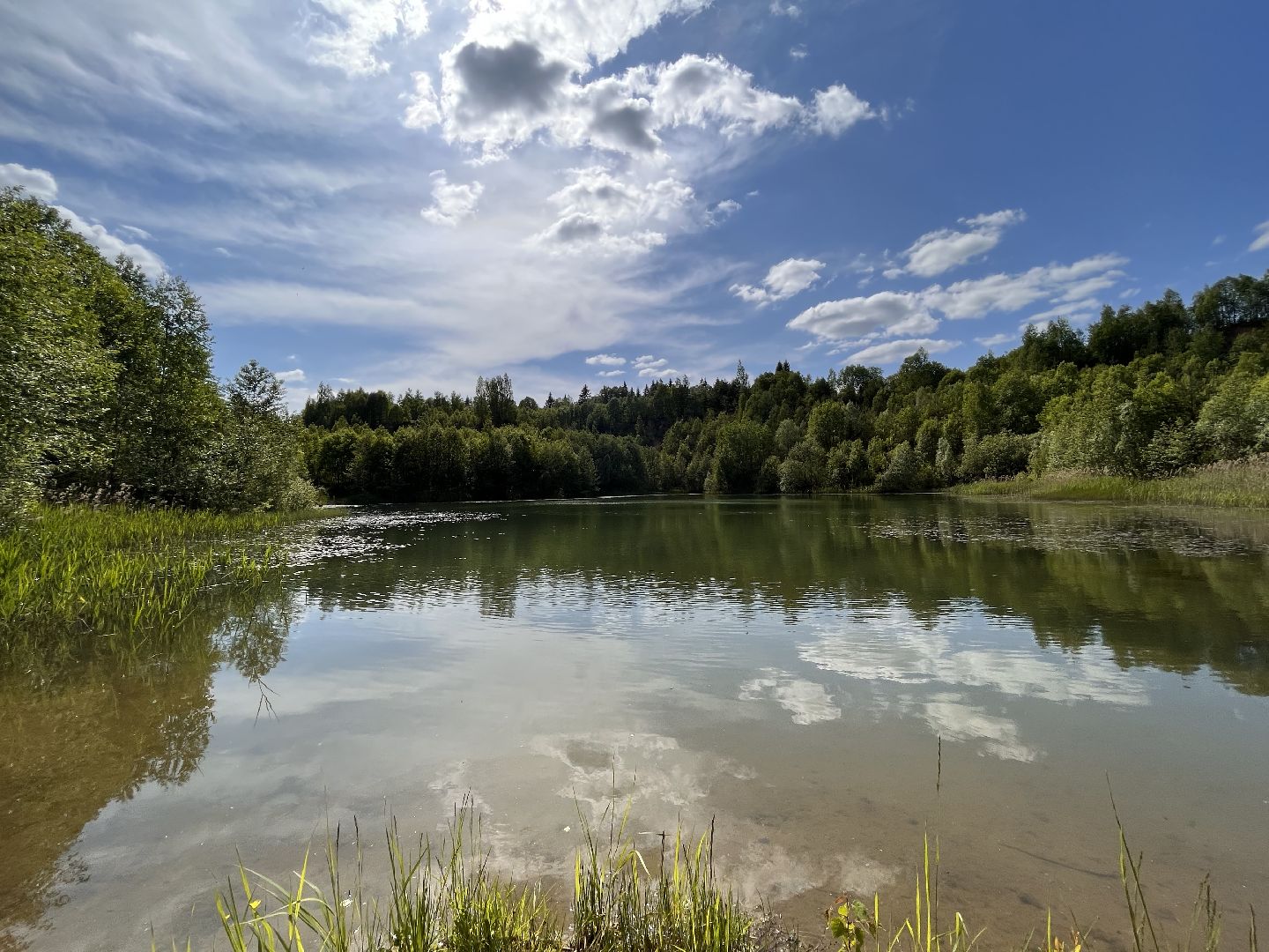 Шаховская, озера, купание