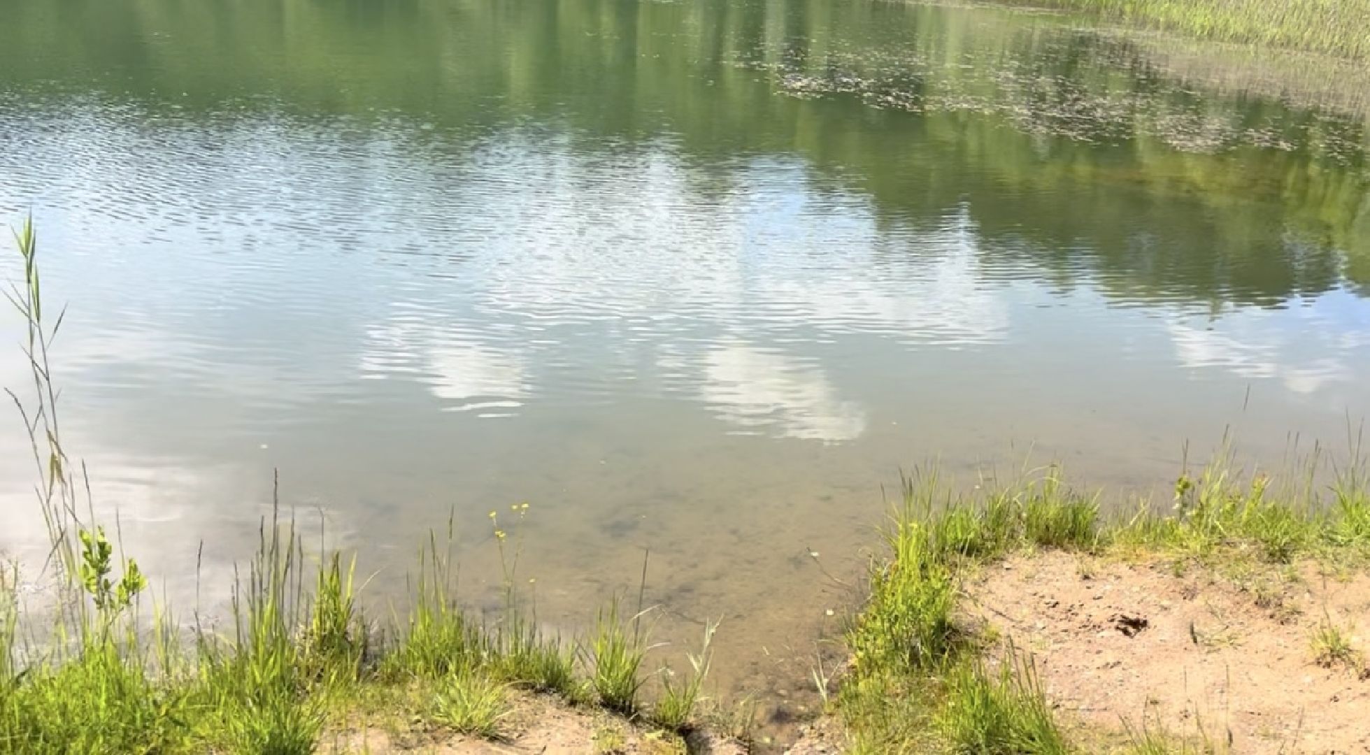 Шаховская, озера, купание