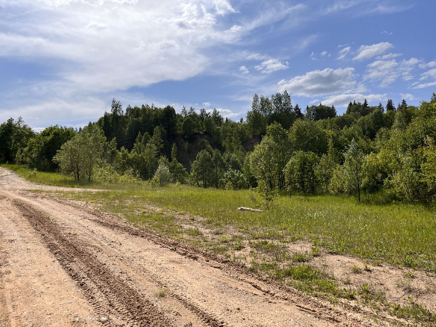 Шаховская, озера, купание
