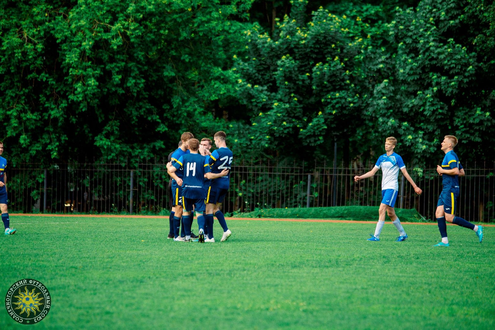 Солнечногорск, спорт, футбол, победа, чемпионат