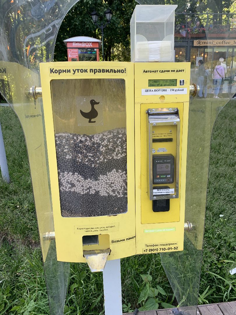 Экология, природа, забота о птицах, лето в подмосковье,