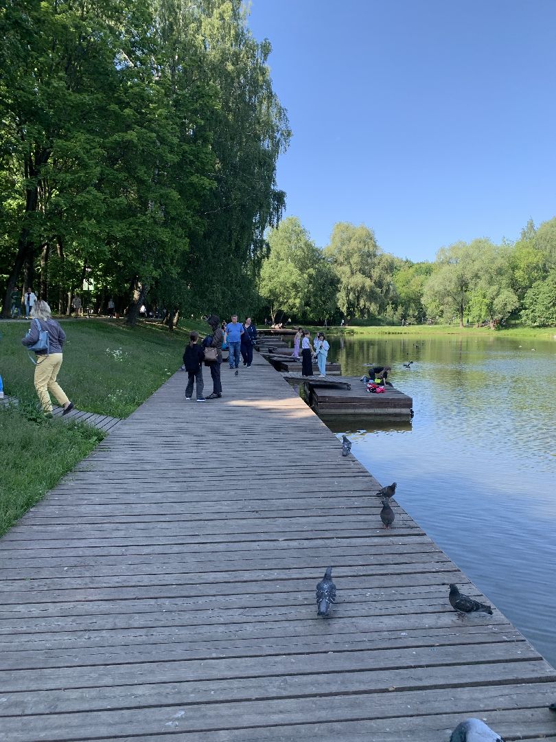 Экология, природа, забота о птицах, лето в подмосковье,