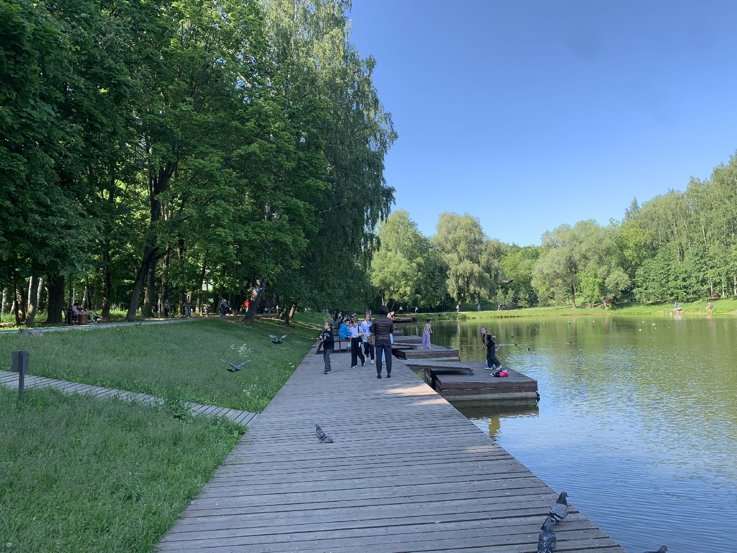 Экология, природа, забота о птицах, лето в подмосковье,