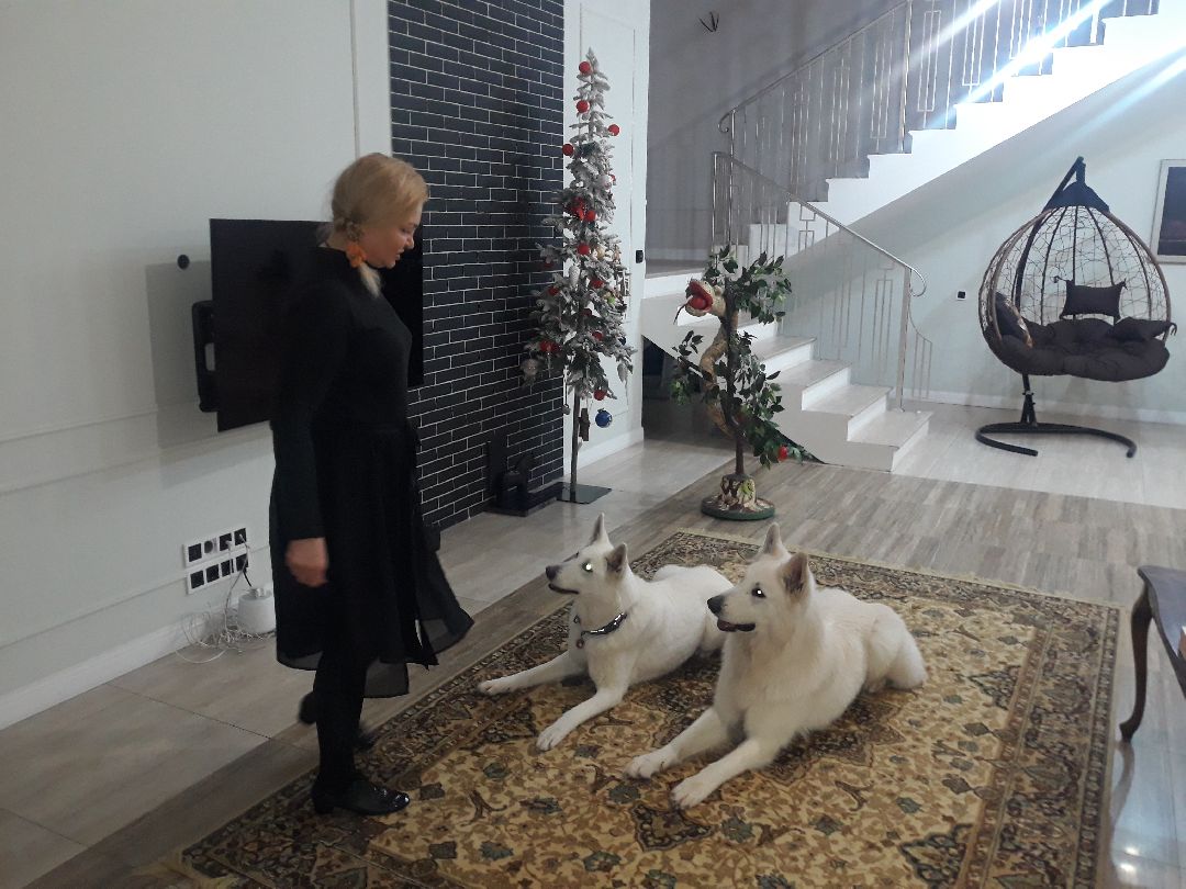 Раменское, общество