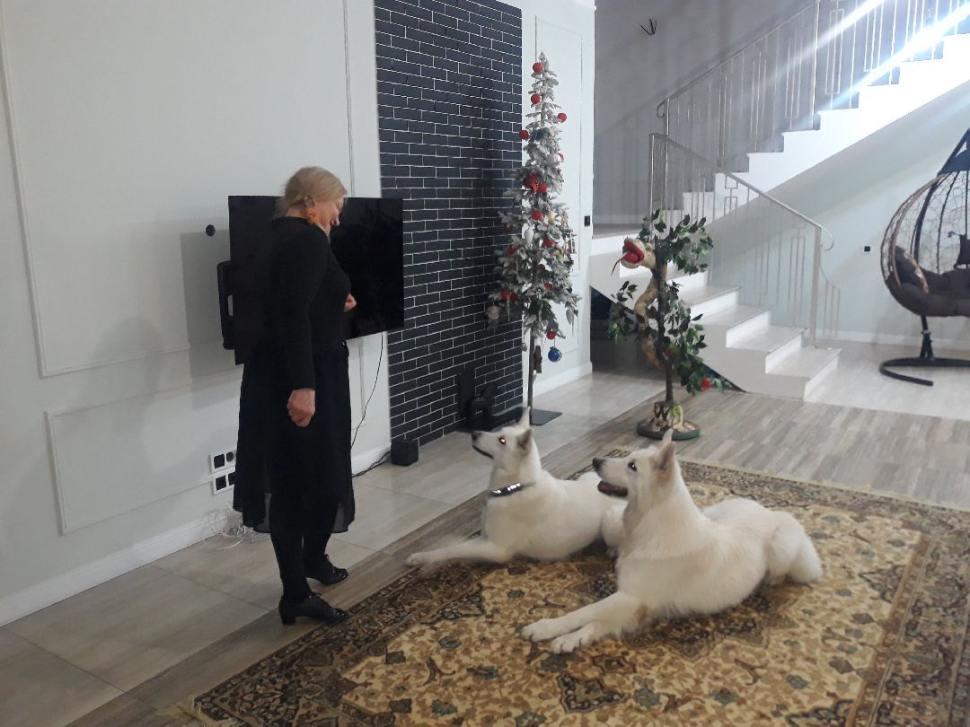 Раменское, общество