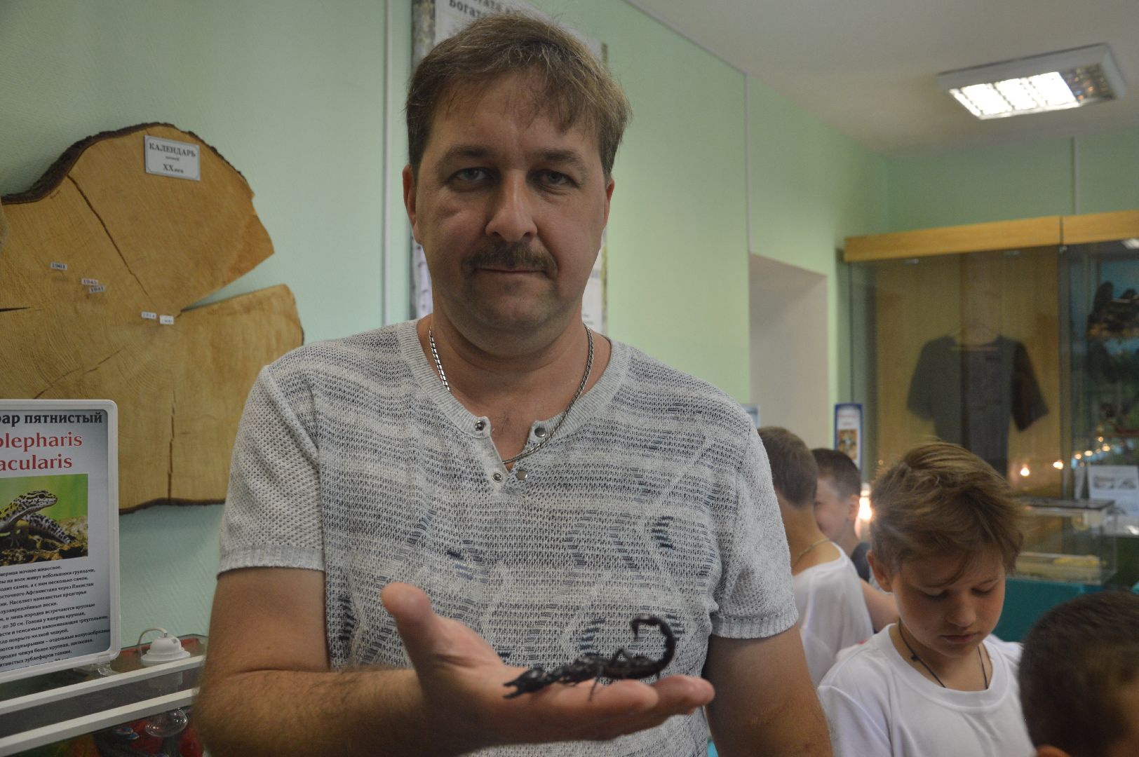 Шатура, гигантские пауки, инстинкт хищника, летний отдых, дети