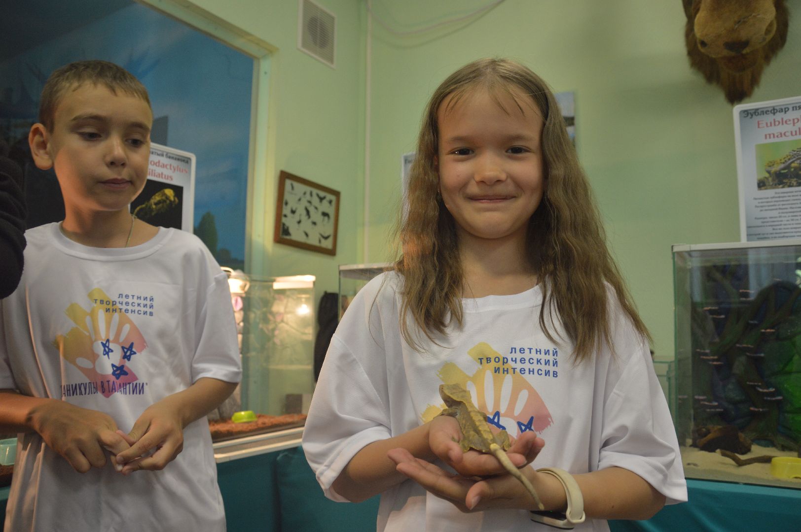 Шатура, гигантские пауки, инстинкт хищника, летний отдых, дети