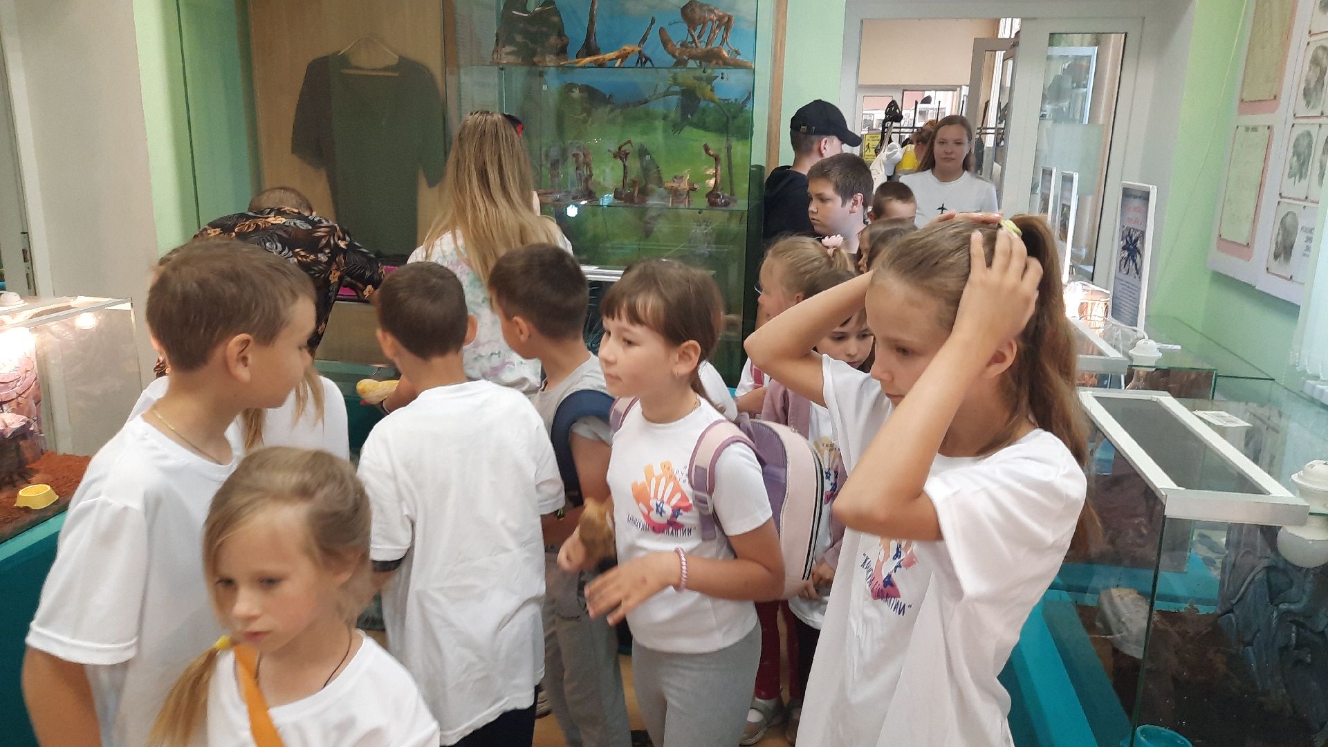 Шатура, гигантские пауки, инстинкт хищника, летний отдых, дети