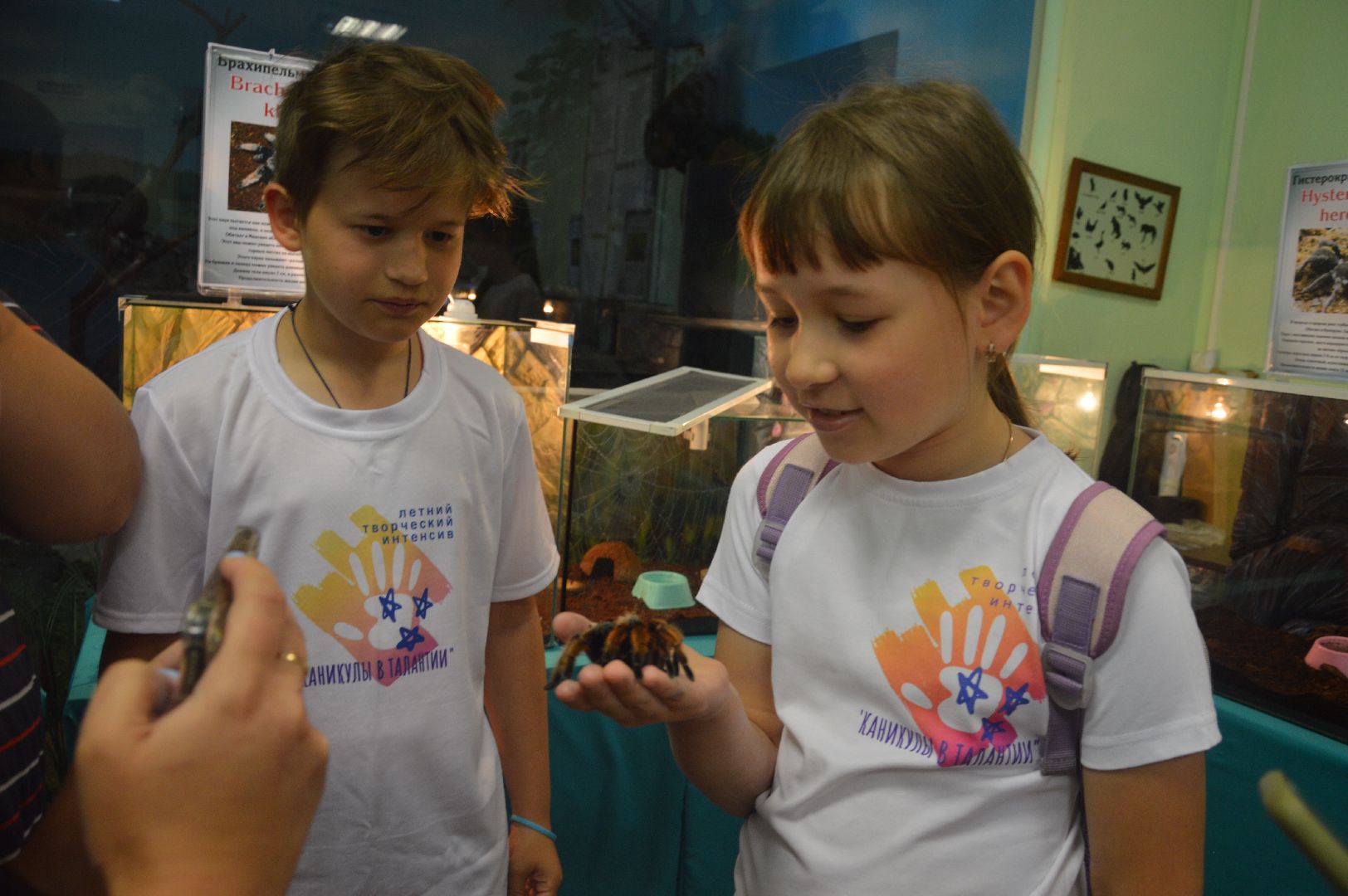 Шатура, гигантские пауки, инстинкт хищника, летний отдых, дети