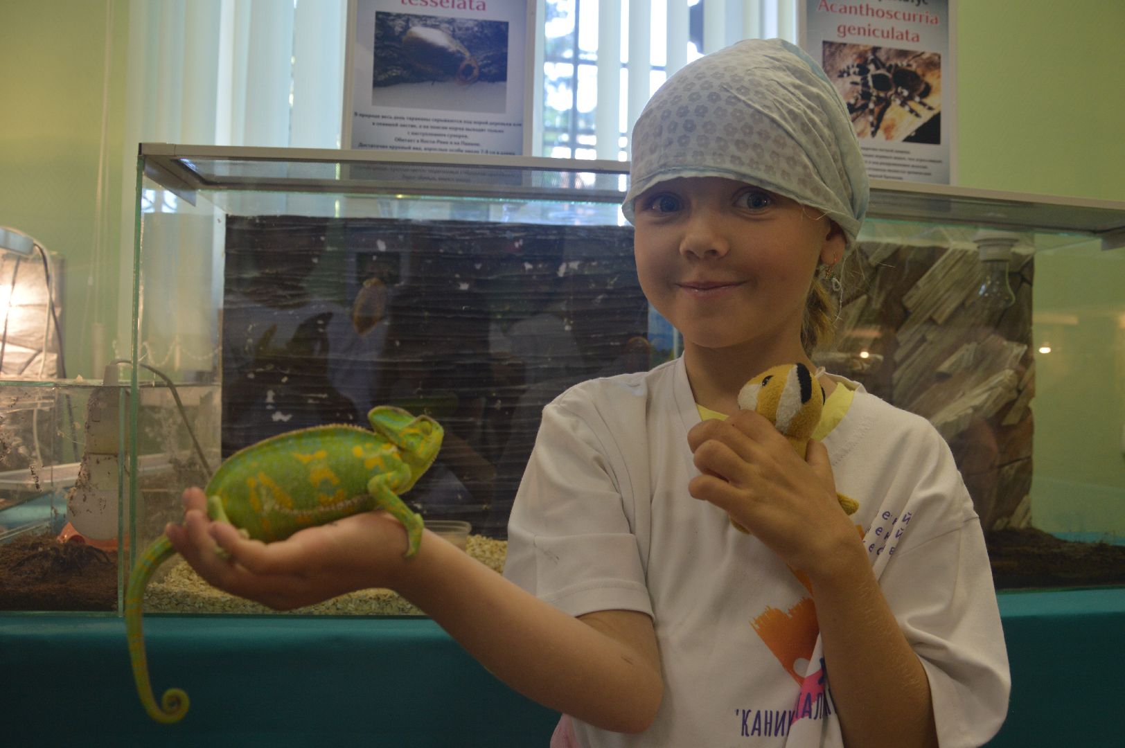 Шатура, гигантские пауки, инстинкт хищника, летний отдых, дети