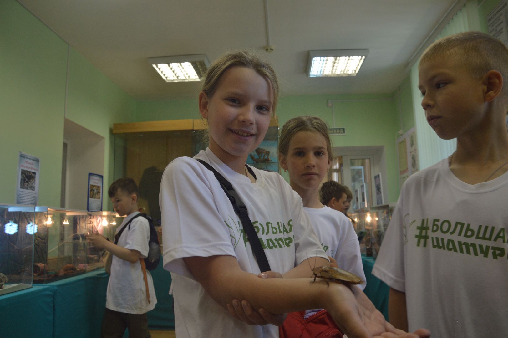 Шатура, гигантские пауки, инстинкт хищника, летний отдых, дети