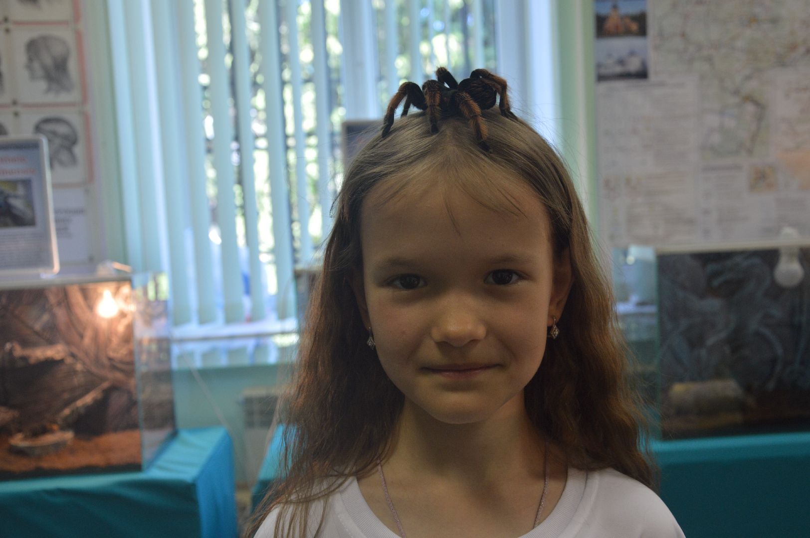 Шатура, гигантские пауки, инстинкт хищника, летний отдых, дети