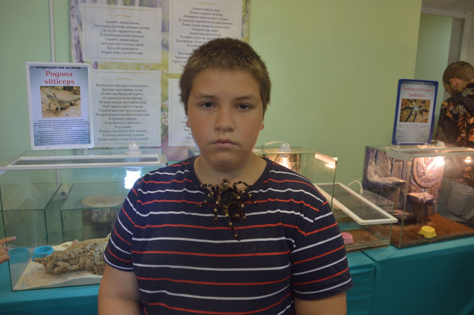 Шатура, гигантские пауки, инстинкт хищника, летний отдых, дети