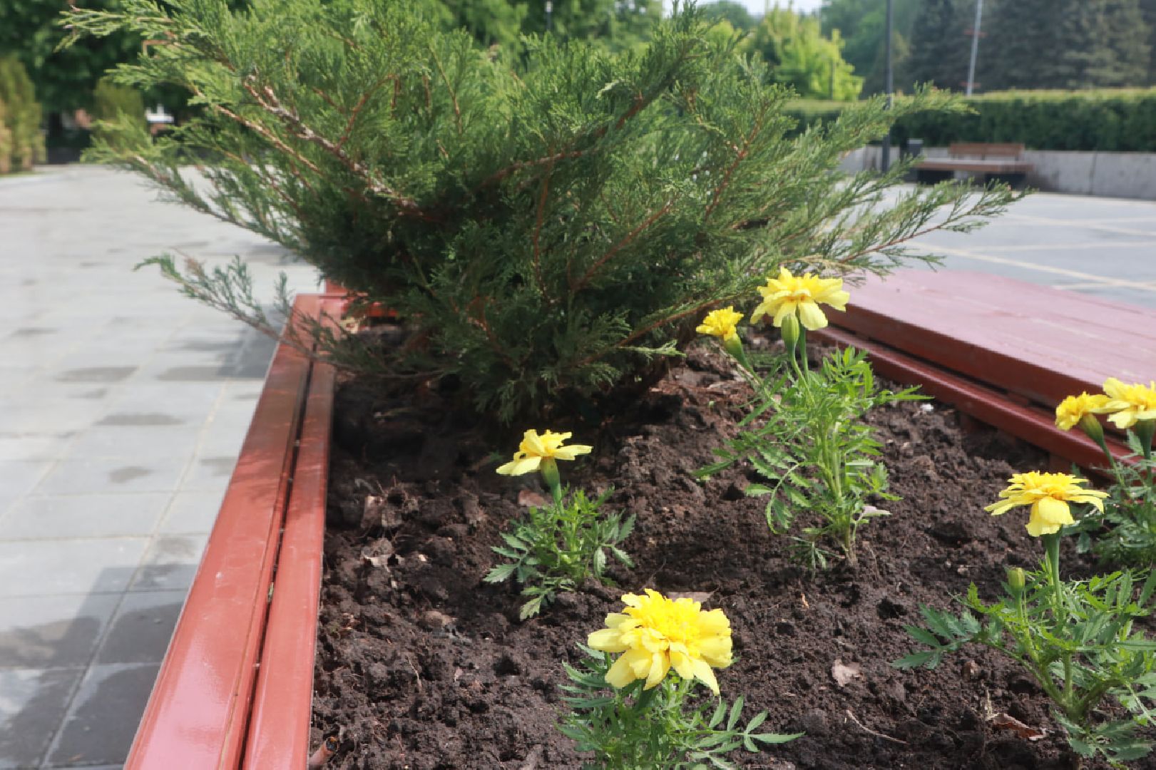 Пущино, благоустройство