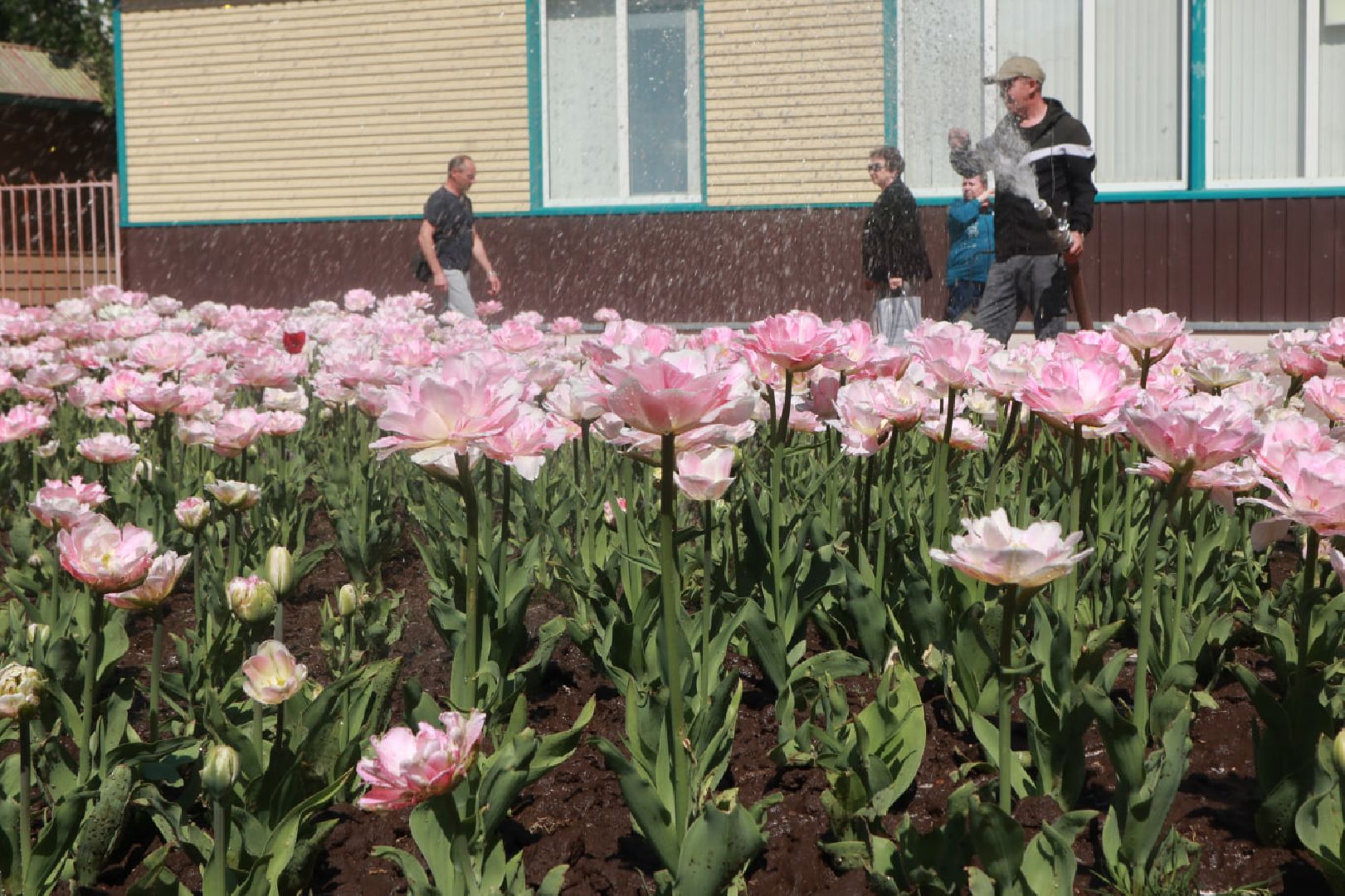 Пущино, благоустройство