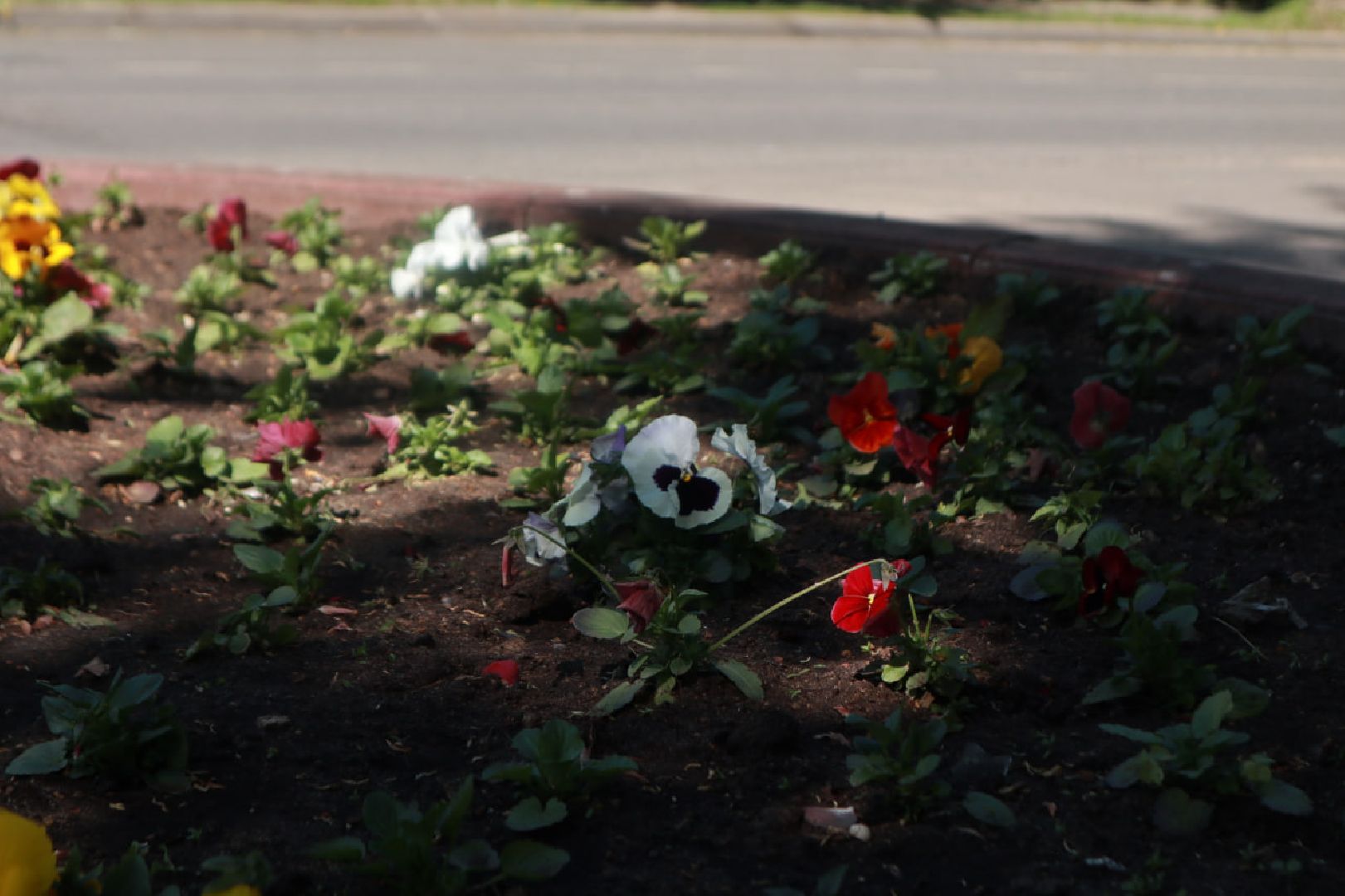 Пущино, благоустройство