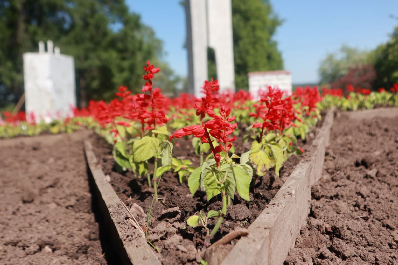 Пущино, благоустройство