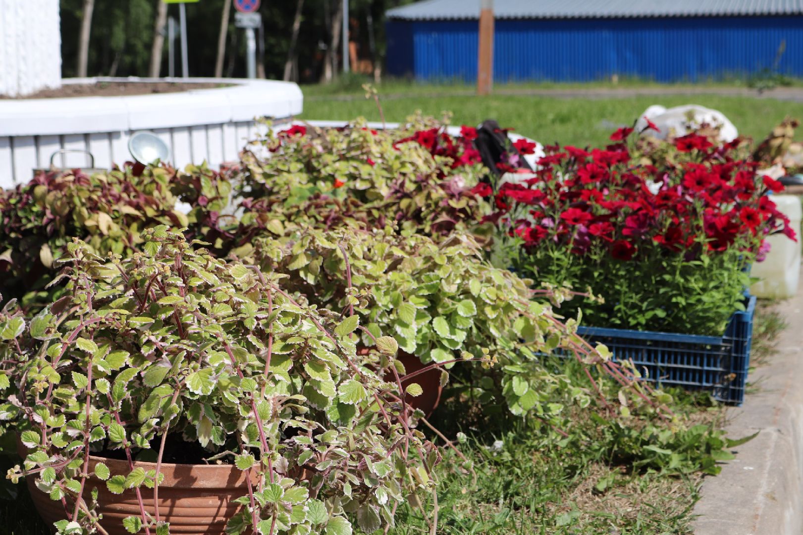 Пущино, благоустройство