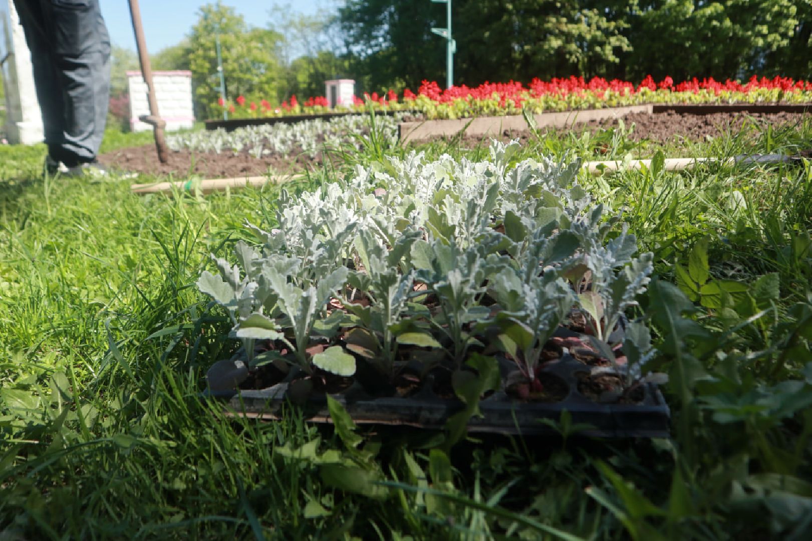 Пущино, благоустройство