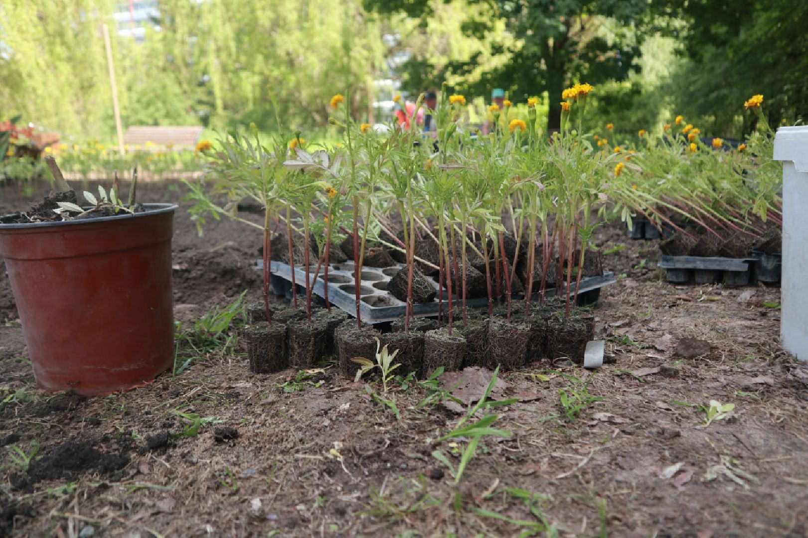 Пущино, благоустройство
