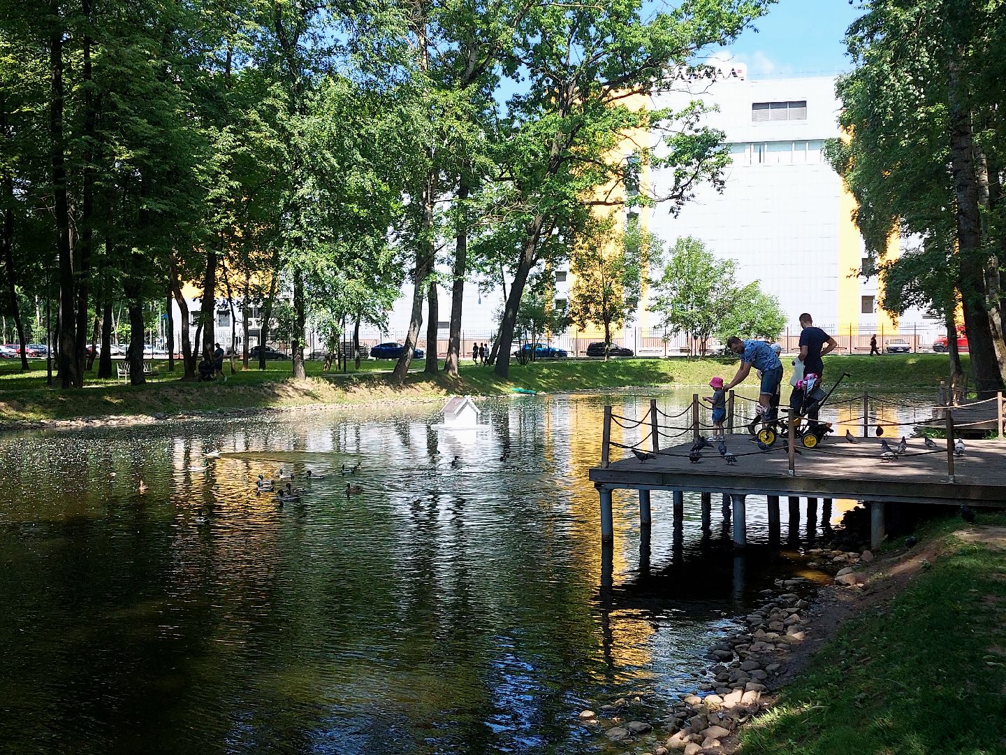благоустройство, парк Кривякино, парки Подмосковья