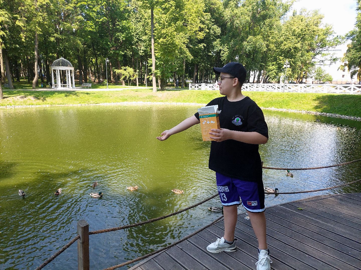 благоустройство, парк Кривякино, парки Подмосковья