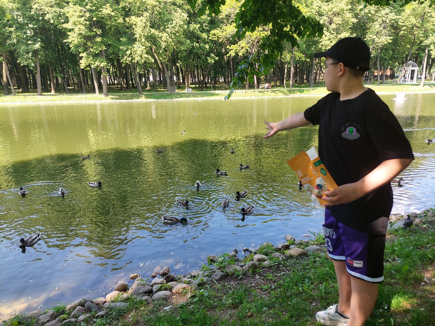 благоустройство, парк Кривякино, парки Подмосковья