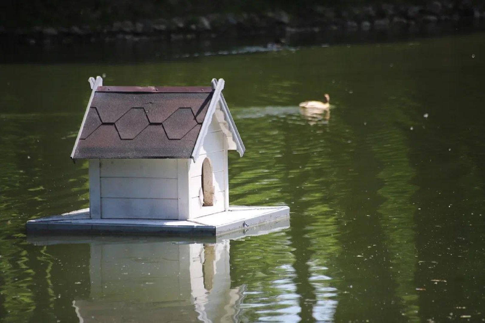 благоустройство, парк Кривякино, парки Подмосковья