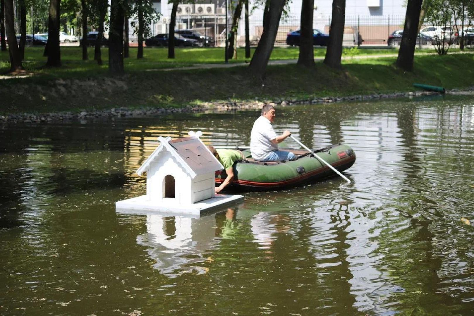 благоустройство, парк Кривякино, парки Подмосковья