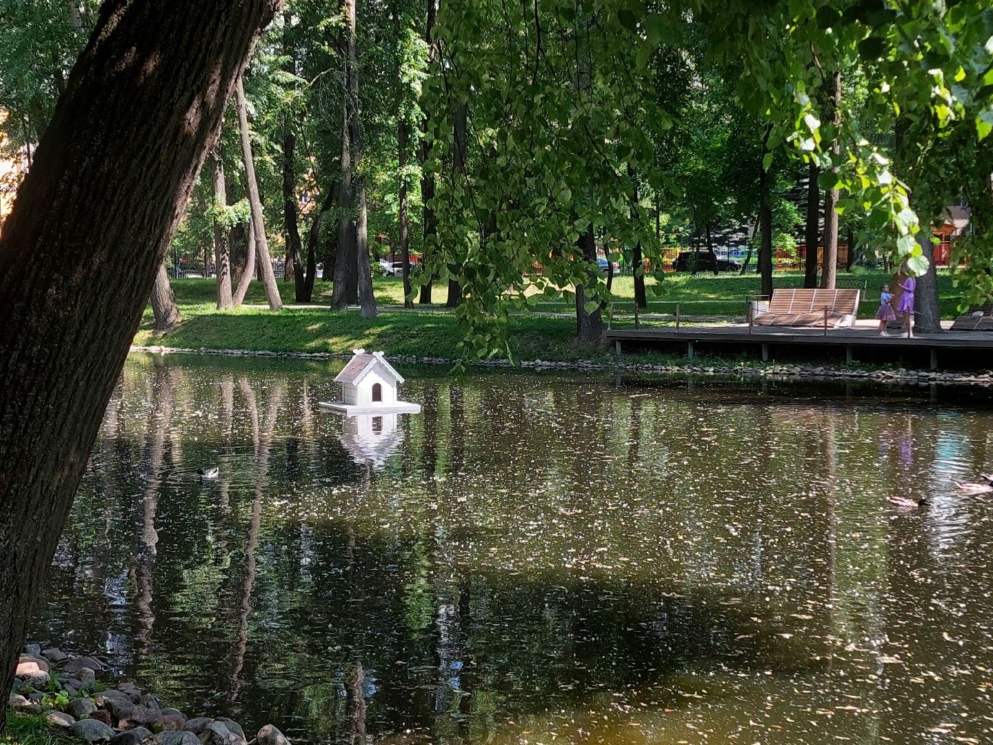 благоустройство, парк Кривякино, парки Подмосковья