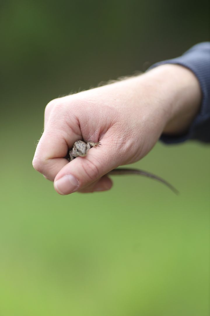 Домодедово, поход, спортивное ориентирование, поход